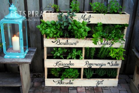 Diy pallet kruidentuin