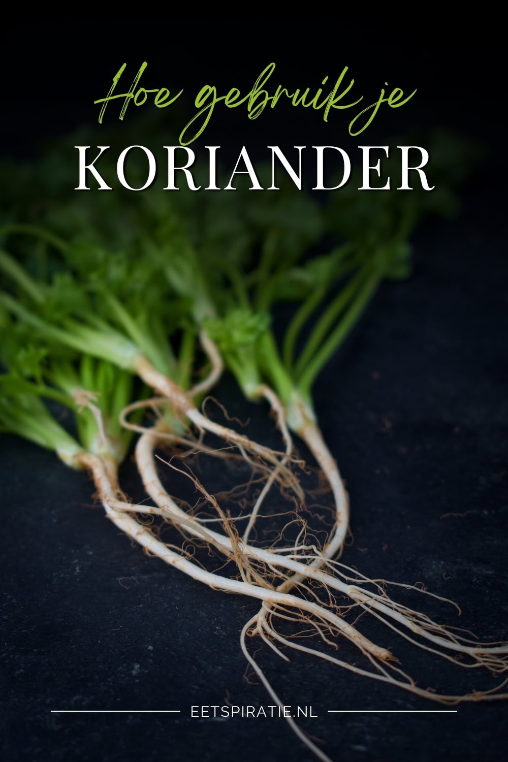 Hoe gebruik je koriander