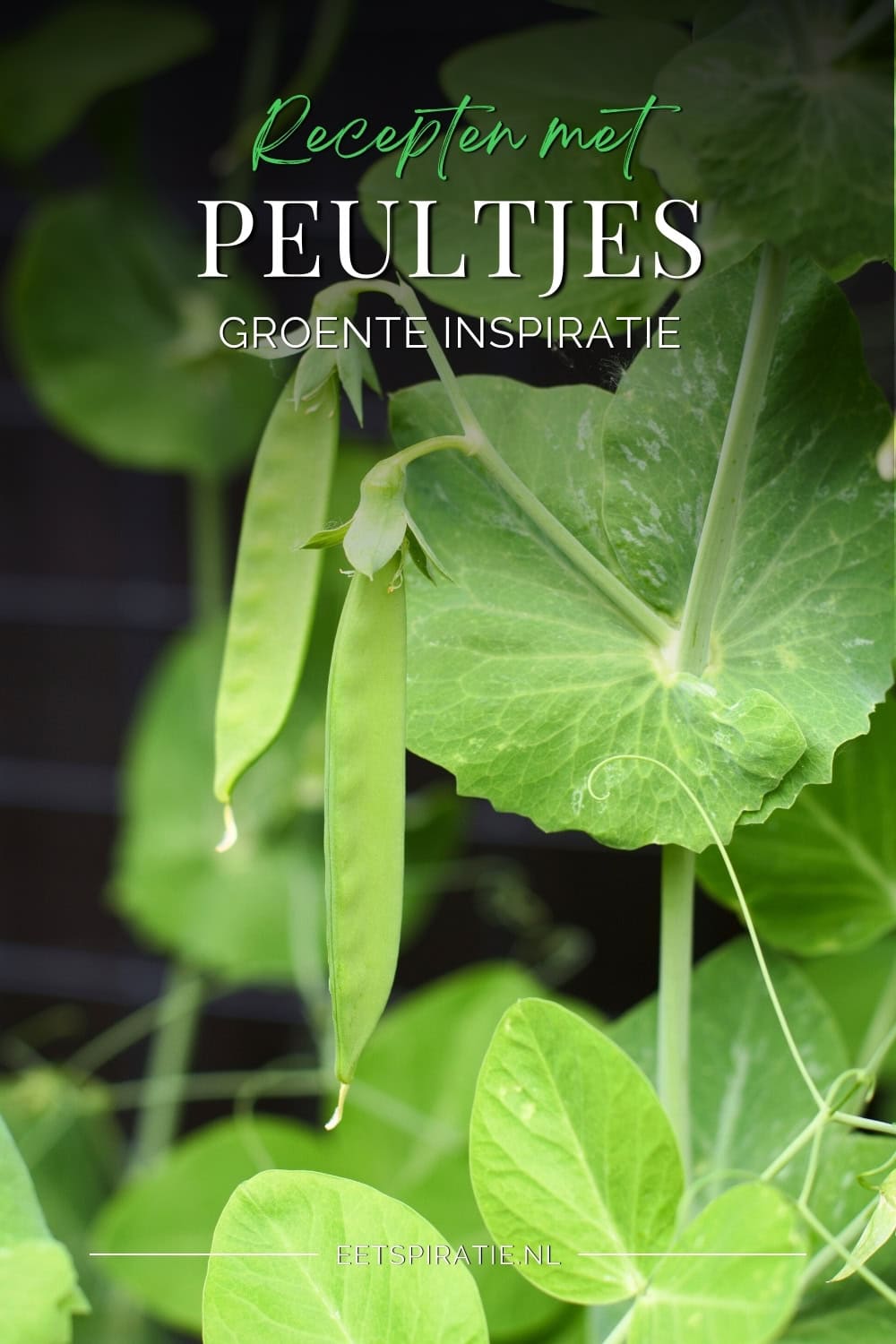 Groente inspiratie peultjes