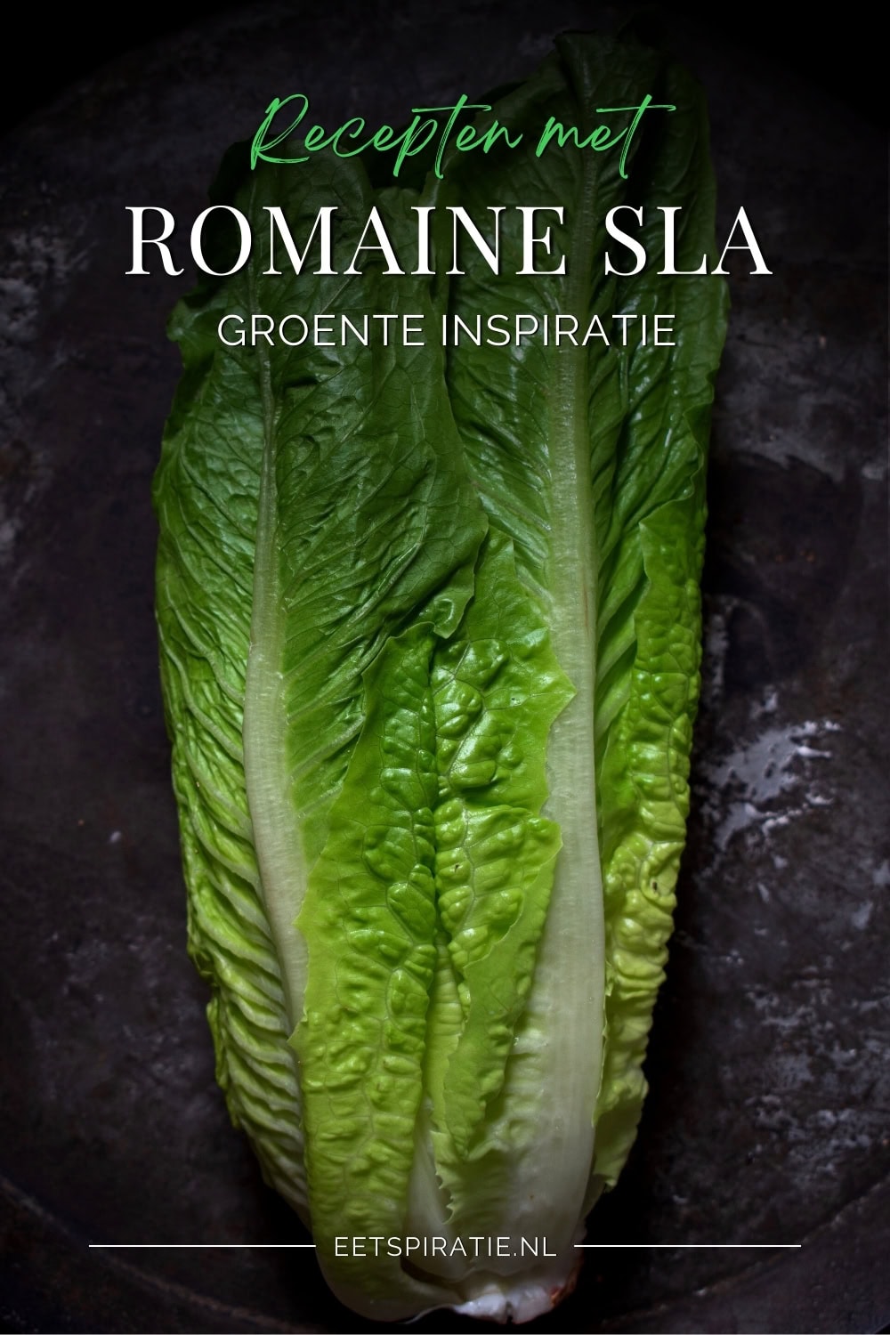 Groente inspiratie recepten met Romaine sla