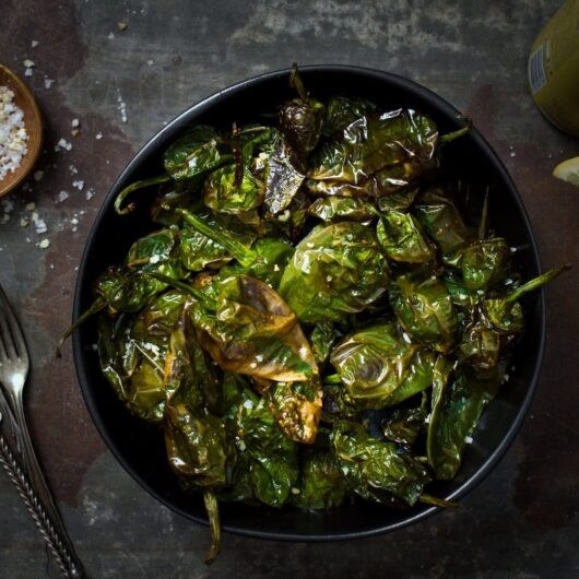 Pimientos de padron uit de airfryer receptenkaart