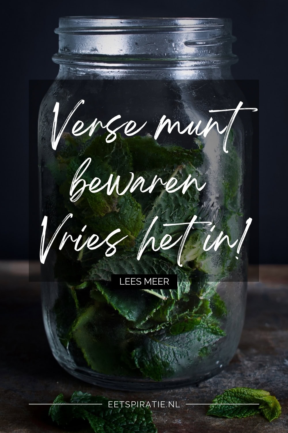 De beste manier om verse munt te bewaren - vries het in - Pinterest