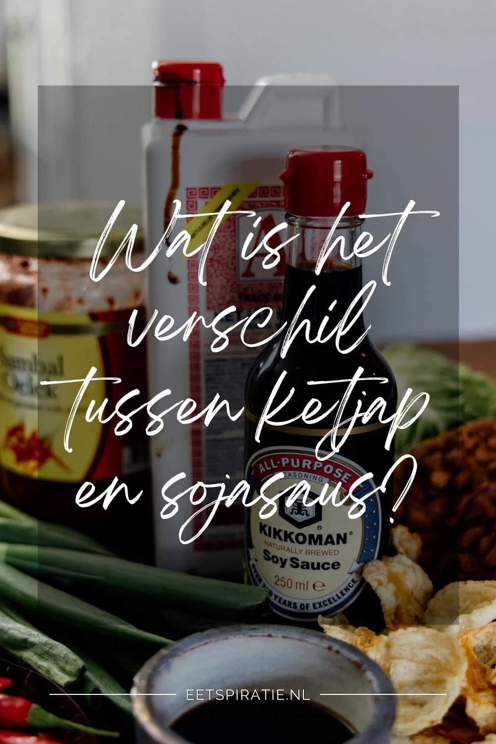 Wat is het verschil tussen ketjap en sojasaus Pinterest