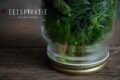 Verse groene kruiden bewaren in glazen pot