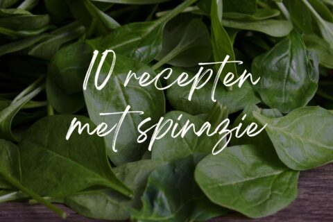 Verse spinazie voor lekkere spinazie recepten