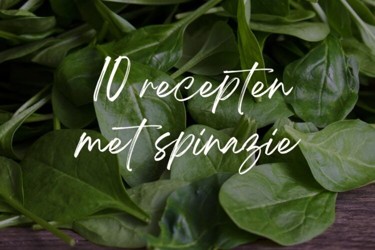 Verse spinazie voor lekkere spinazie recepten