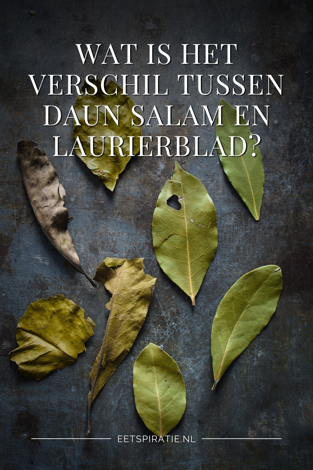 Daun salam en laurierbladen, tekst op de foto: wat is het verschil tussen daun salam en laurierblad?