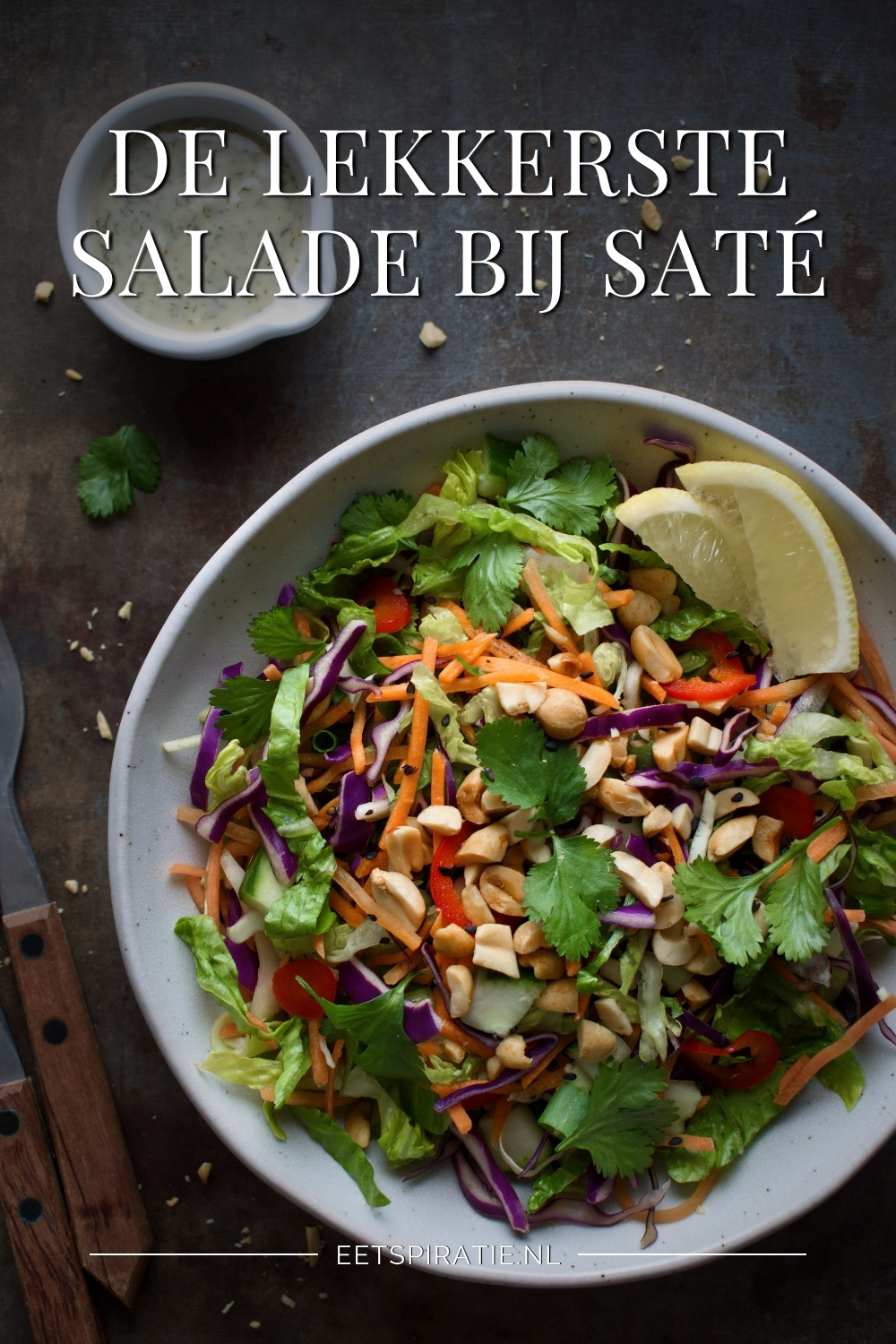 De lekkerste salade bij saté